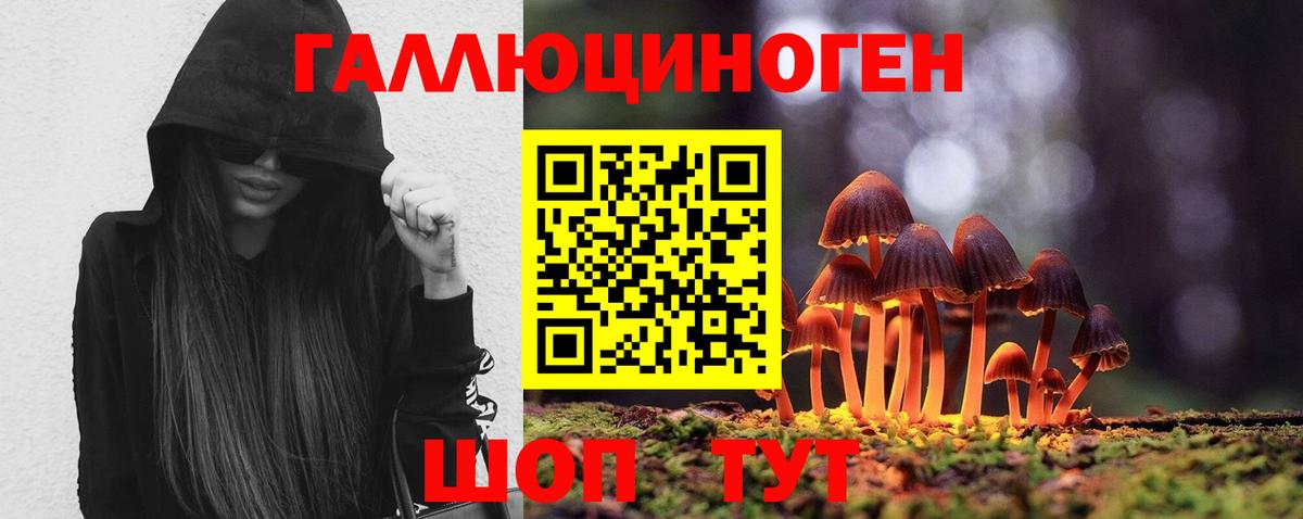 Галлюциногенные грибы GOLDEN TEACHER  Галлюциногенные грибы прущие грибы  Амурск  Вход с VPN 